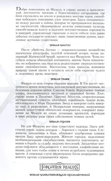 Невервинтер Том 2 - фото 2