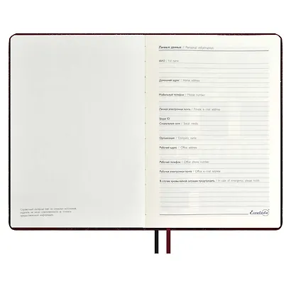Ежедневник недат. А5+ 160л 175*245 "Аллигатор" бордовый, кожзам, тв.переплет, обл.поролон, блинтовое тиснение, офсет, ляссе, подар.упаковка - фото 7