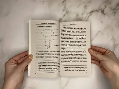 Выращивание грибов. Мини-бизнес с нуля - фото 5