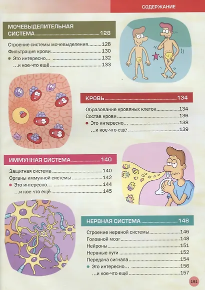 Энциклопедия человека. Как устроено наше тело - фото 5