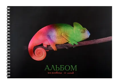 Альбом для рисования Listoff, "Хамелеон", А4, 40 листов, на гребне - фото 1