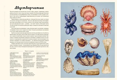 Океанариум - фото 11