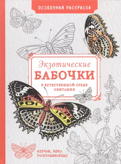 Особенная раскраска: Экзотические бабочки - фото 1