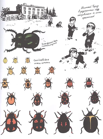 Чарлз Дарвин. Революция - фото 3