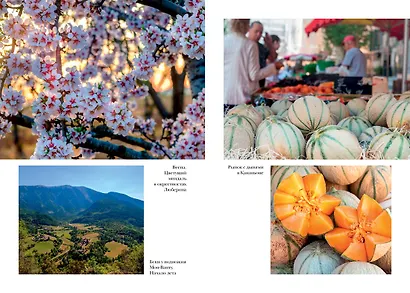 Год в Провансе - фото 6