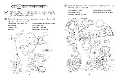 Мир вокруг - фото 4