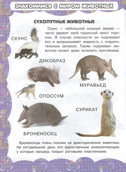 Экзотические обитатели Земли - фото 5