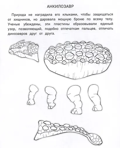 Бумажные динозавры. Вырежи, раскрась, играй. 12 готовых схем - фото 5