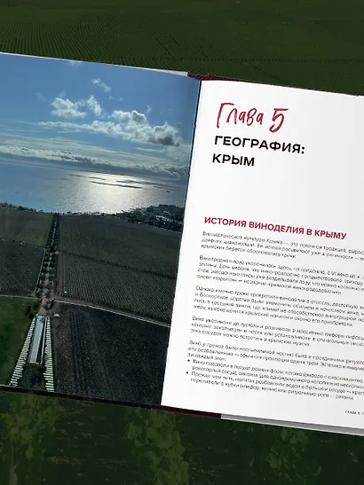 Вино России. История, география, выбор. Новое издание - фото 10