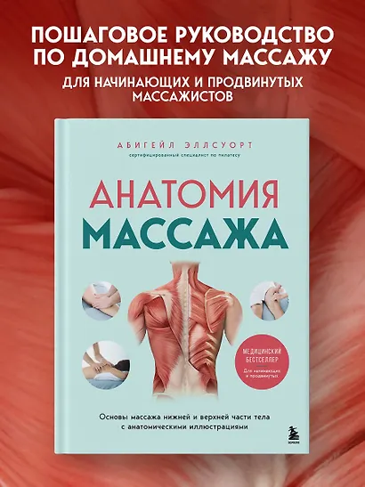 Анатомия массажа. Основы массажа нижней и верхней части тела с анатомическими иллюстрациями - фото 4