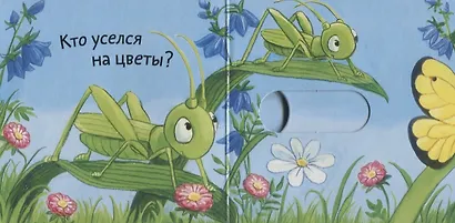 Вжух! Кто живёт на лугу? - фото 2