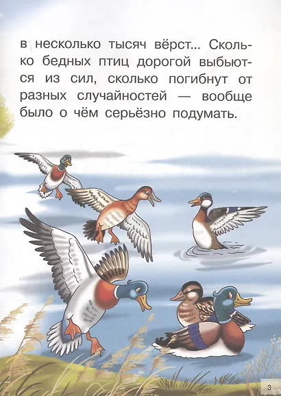 Серая шейка. Сказки. Для самостоятельного чтения - фото 4