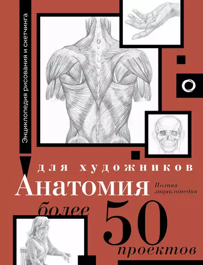 Анатомия для художников. Более 50 проектов. Полная энциклопедия - фото 1