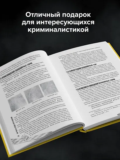 Как читать следы преступлений: о чем не расскажет поп-культура - фото 9