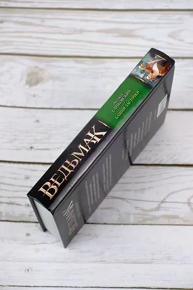 Башня Ласточки : [фантаст. роман] - фото 6