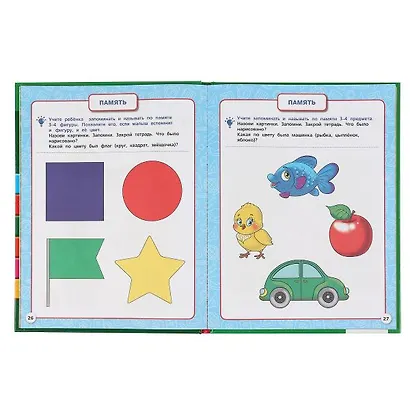 Полный годовой курс. 2-3 года - фото 3