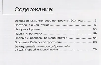 Эскадренные миноносцы типа Грозный (Мидель-шпангоут 39/2014) (м) Афонин - фото 2