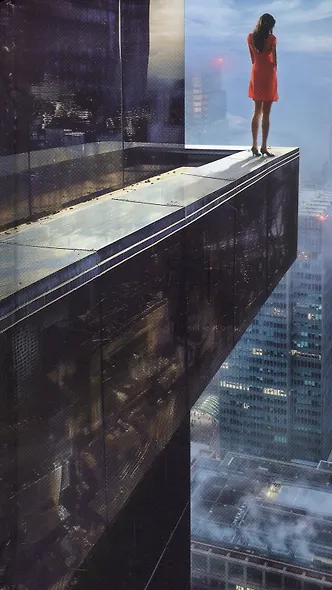 Шаг в пропасть - фото 13