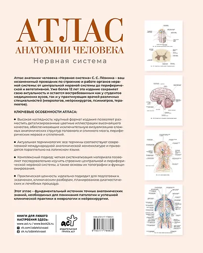 Атлас анатомии человека. Нервная система - фото 2