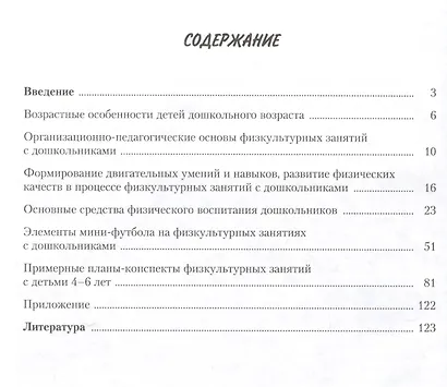 Мини-футбол в дошкольных образовательных учреждениях: учебное пособие - фото 2