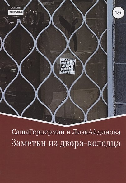 Заметки из двора-колодца - фото 1