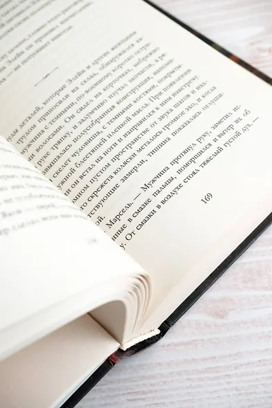 Библиотечный шпион - фото 11