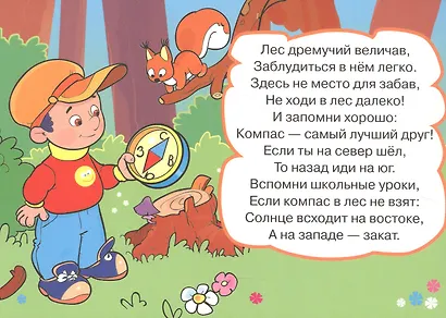 Уроки безопасности  в лесу: 10 карточек - фото 3