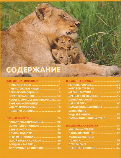 Эти удивительные детёныши животных. Детская энциклопедия - фото 2
