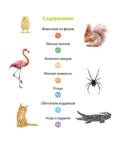 Животные разных стран - фото 10