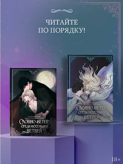 Словно ветер среди иссохших ветвей. Том 2 (вебтун) + лимитированный мерч - фото 10