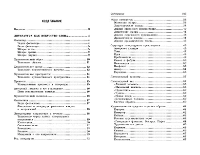 Литература: наглядно и доступно - фото 10