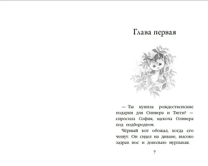 Котенок Заплатка, или Обретенный дом (выпуск 47) - фото 11