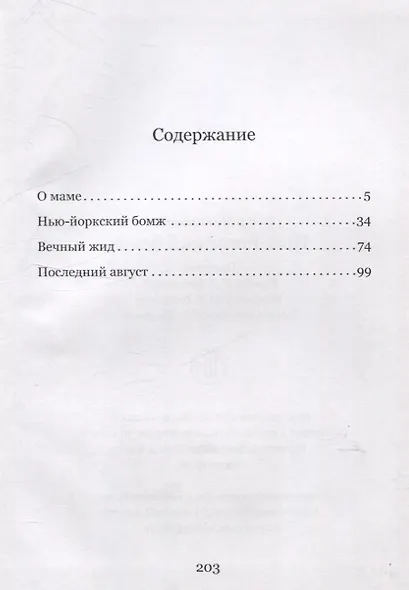 Нью-Йоркский бомж - фото 3