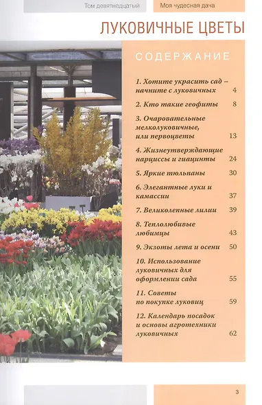 Моя чудесная дача. Том 19. Луковичные цветы - фото 2