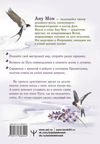 Энергии Дзен для самоисцеления, созидания и равновесия. Путь в Страну Мудрости - фото 2