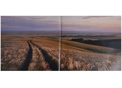 Сто заповедных лет. Фотоистория большого путешествия.Том 1: "Брянский лес" - Владивосток: южный путь - фото 3
