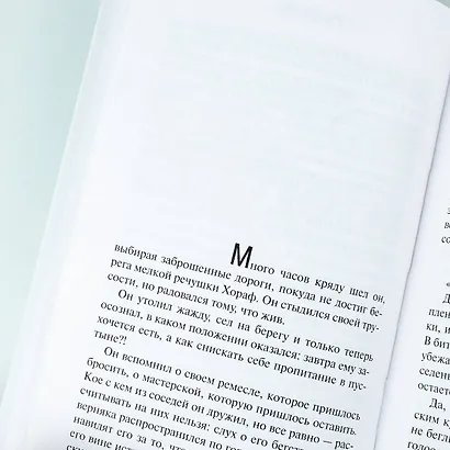 Пятая гора - фото 9