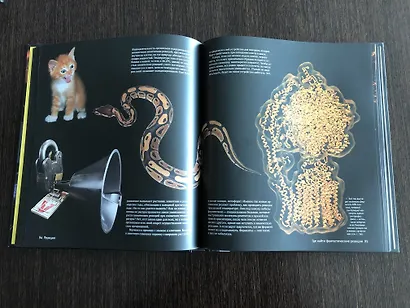 Реакции - фото 3