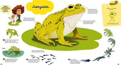Главная книга малыша о природе - фото 5