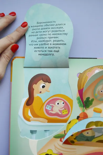 Волшебные окошки. Откуда берутся дети? - фото 7