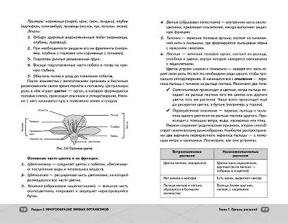 ОГЭ. Биология - фото 11
