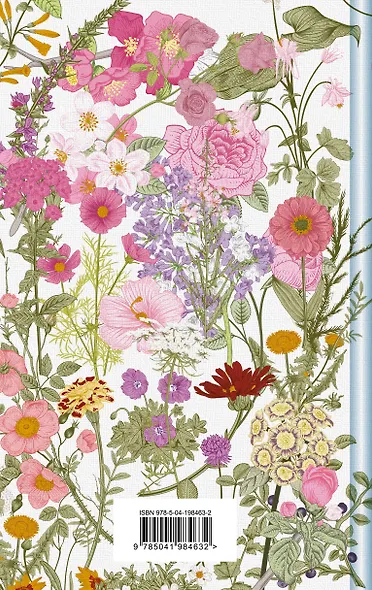 Аня и Долина Радуг - фото 2