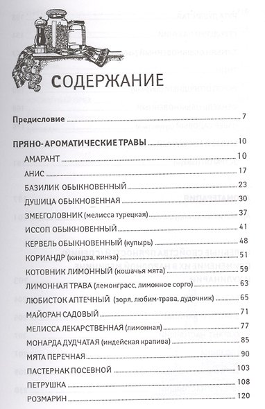 Пряные травы и специи для вашего здоровья - фото 3