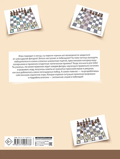 Шахматы - фото 2