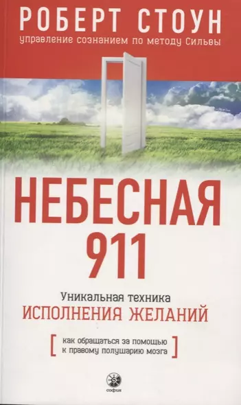 Небесная 911: Как обращаться за помощью к правому полушарию мозга - фото 1