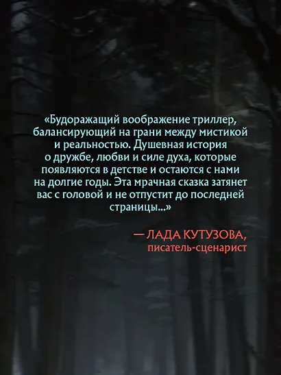 Комплект из 3 книг (Смерть в пионерском галстуке. Пионерская клятва на крови. Зимняя смерть в пионерском галстуке. Предыстория) - фото 9