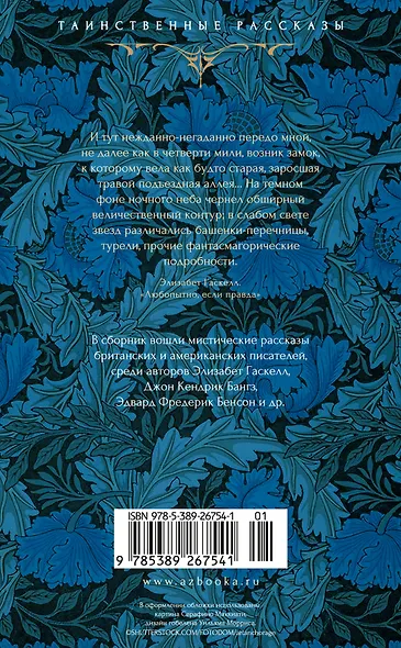 Наблюдатель у порога - фото 2