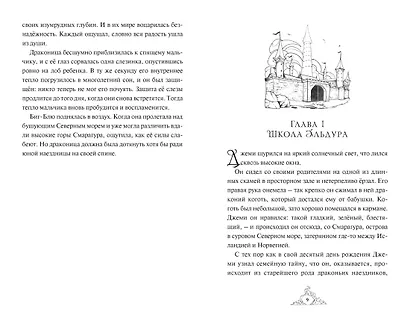 Смарагур. Книга 1. Остров драконов - фото 14
