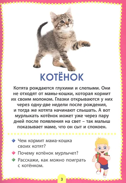 Детеныши животных. Фотокнига для самых маленьких - фото 3
