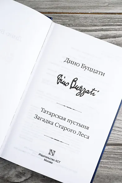 Татарская пустыня. Загадка Старого Леса - фото 11